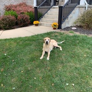 Meet your Posher, Robert